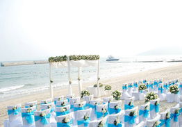 愛在天涯，情定海角 三亞國際婚慶節(jié)盛大啟幕，打造浪漫產(chǎn)業(yè)新標桿